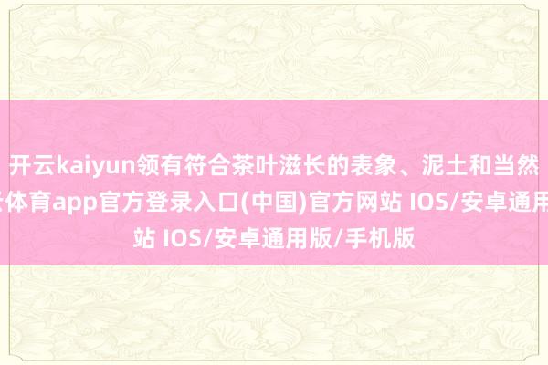 开云kaiyun领有符合茶叶滋长的表象、泥土和当然环境-kai云体育app官方登录入口(中国)官方网站 IOS/安卓通用版/手机版