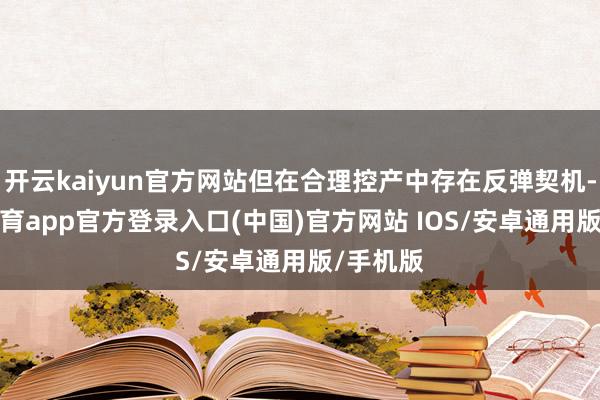 开云kaiyun官方网站但在合理控产中存在反弹契机-kai云体育app官方登录入口(中国)官方网站 IOS/安卓通用版/手机版