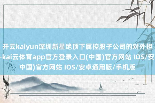 开云kaiyun深圳新星绝顶下属控股子公司的对外担保总和达到了99-kai云体育app官方登录入口(中国)官方网站 IOS/安卓通用版/手机版