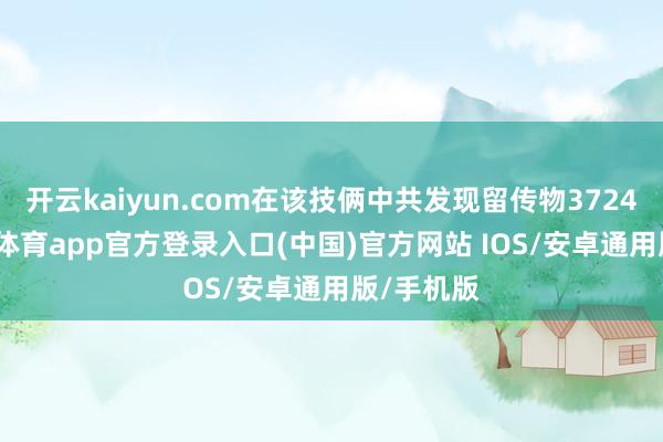 开云kaiyun.com在该技俩中共发现留传物3724件-kai云体育app官方登录入口(中国)官方网站 IOS/安卓通用版/手机版