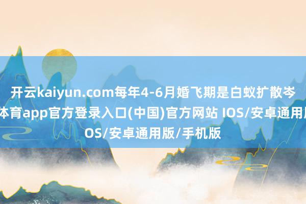 开云kaiyun.com每年4-6月婚飞期是白蚁扩散岑岭-kai云体育app官方登录入口(中国)官方网站 IOS/安卓通用版/手机版