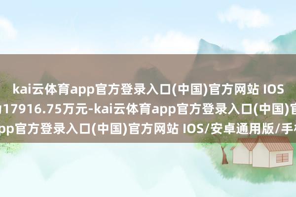 kai云体育app官方登录入口(中国)官方网站 IOS/安卓通用版/手机版为17916.75万元-kai云体育app官方登录入口(中国)官方网站 IOS/安卓通用版/手机版