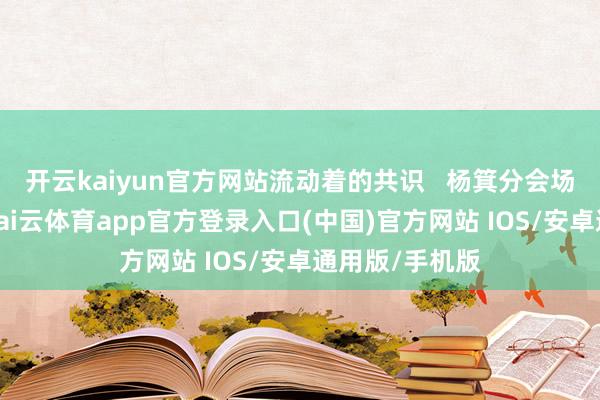开云kaiyun官方网站流动着的共识 杨箕分会场的元宵巡游-kai云体育app官方登录入口(中国)官方网站 IOS/安卓通用版/手机版